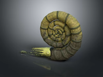 Reptile Spiral Shell With Yellow Green Textured Surface Isolated On Dark Background 3d model