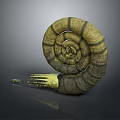 Snail Cartoon Snail Small Snail Reptile Cold Blooded Animal Reptile 3d model
