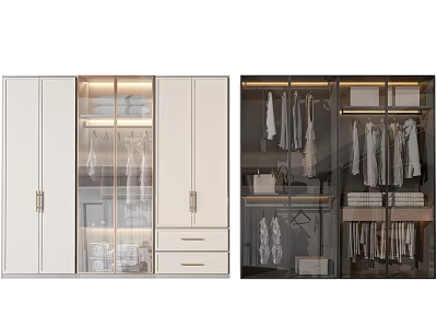 Modern Wardrobe Interior Design With Glass Doors Hanging Rods And Storage Drawers 3d model