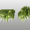 Modern Decorative Chandelier With Hanging Green Vines And White Accents For Indoor Home Decoration