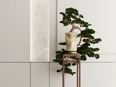 New Chinese Bonsai Pine 3d model