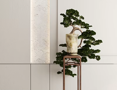 Indoor Bonsai Potted Plant On Metal Stand With Marble Pot And White Wall Background 3d model