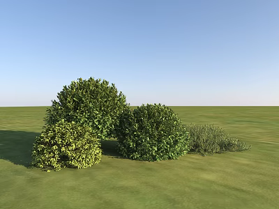 Green Shrubs in Grassy Field with Blue Sky and Lush Natural Foliage 3d model