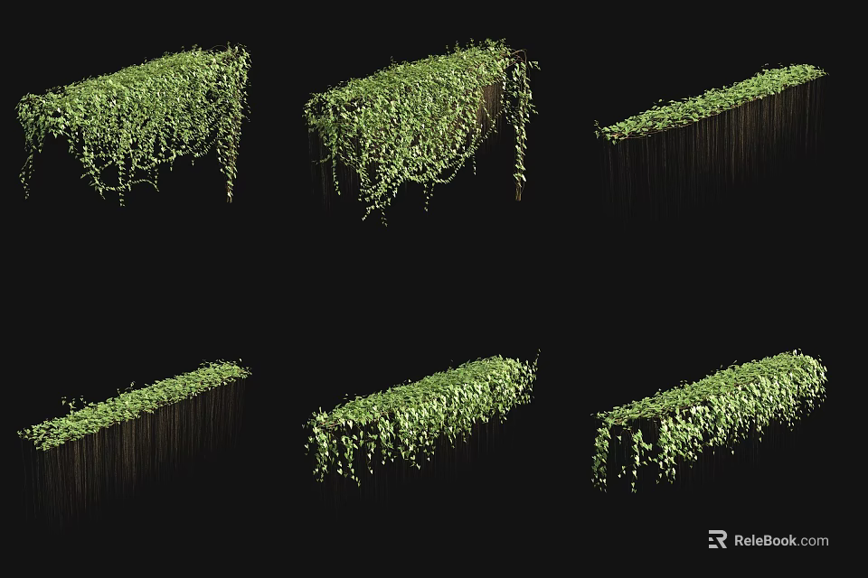 Lush Green Vines With Leafy Growth On Various Hanging And Standing Structures 3d model