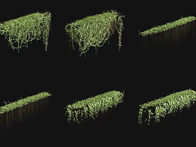 Lush Green Vines With Leafy Growth On Various Hanging And Standing Structures 3d model