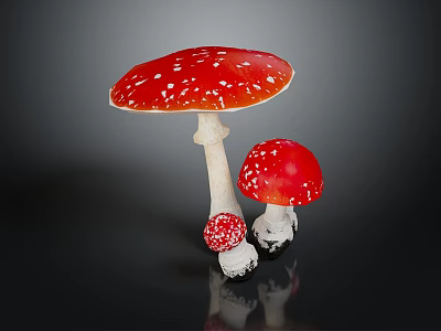 Red White Spotted Vegetable Mushrooms with Different Sizes on Dark Background 3d model