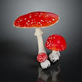 Red White Spotted Vegetable Mushrooms with Different Sizes on Dark Background 3d model