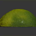 Fresh Green Yellow Pomelo With Textured Skin And Red Stem On Dark Background