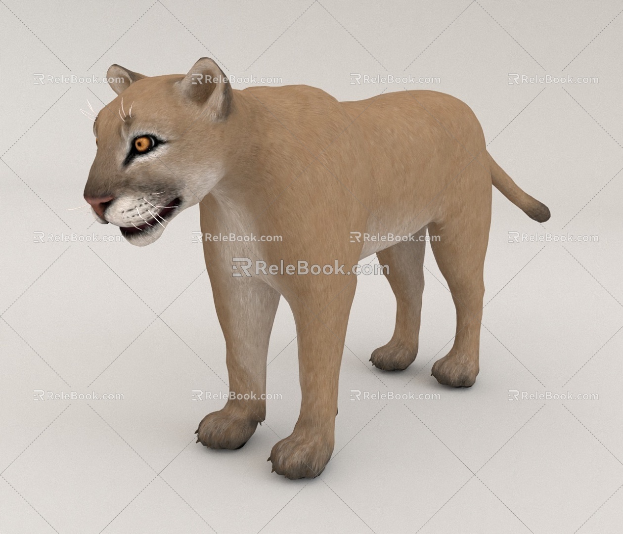 Lion 3d model