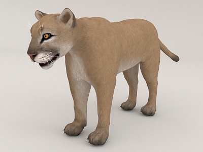 Lion 3d model