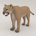 Lion 3d model