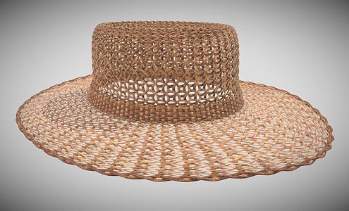 Modern Hat Sun Hat 3d model