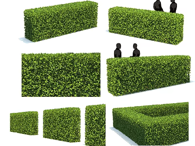 Beautifully Trimmed Green Bushes In Various Shapes For Garden Landscaping Design 3d model