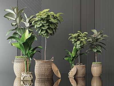 Bonsai Potted Plants With Various Green Foliage In Woven Baskets On Black Reflective Surface 3d model