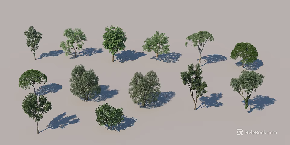 Various Arbor Tree Varieties With Diverse Foliage Shapes And Shadow Effects 3d model