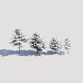 Snow Covered Shrubs Four in Varying Sizes Arranged Against Light Colored Background With Ground Shadows