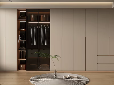 Modern Open Walk in Closet With Glass Door Hanging Area Drawers Plant And Round Rug 3d model