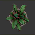Decorative Green Cactus Plant With Red Thorns In White Textured Pot