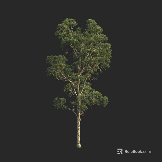 Tall Green Arbor With Lush Foliage And Strong Trunk In Natural Scene 3d model 