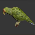 Green Parrot With Red Eye Patch And Vibrant Feathers Perched On Surface 3d model