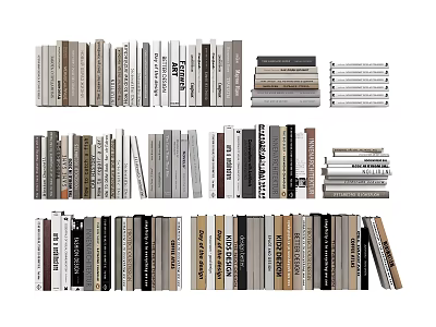 Assorted Books and Magazines with Various Colors Sizes and Thicknesses Neatly Arranged 3d model