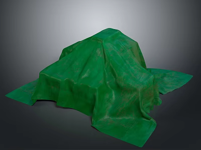 Green Soft Fabric Cover As Practical Household Daily Use Item 3d model