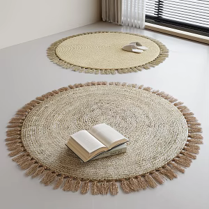 Modern Round Carpet 3d model