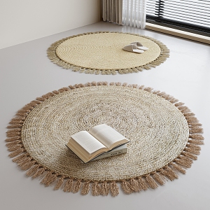 Modern Round Carpet 3d model