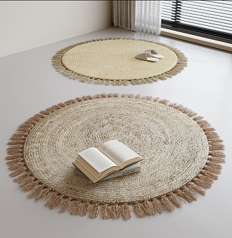 Modern Round Carpet 3d model