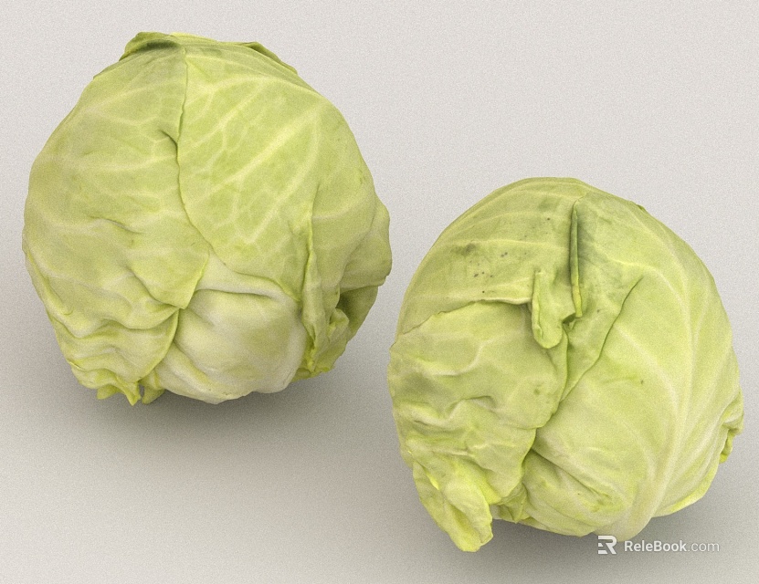 Two Fresh Green Cabbages With Leafy Texture And Natural Vegetable Look 3d model 
