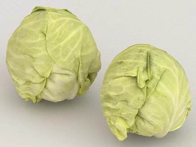 Two Fresh Green Cabbages With Leafy Texture And Natural Vegetable Look 3d model