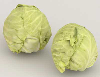 Two Fresh Green Cabbages With Leafy Texture And Natural Vegetable Look 3d model