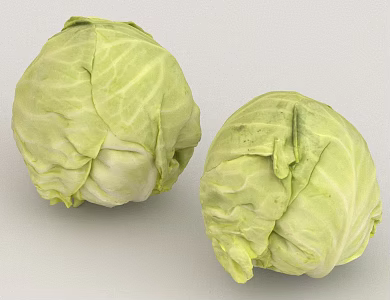 cabbage food vegetables 3d model