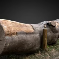 Natural Wooden Public Chair Made From Tree Trunk In Grassy Outdoor Area