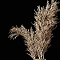 Two Woven Vases With Dried Pampas Grass Natural Material Minimalist Home Decor