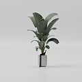 Bonsai Plant With Lush Green Leaves In Gray Pot For Indoor Home Decor