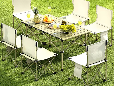 Outdoor Foldable Dining Set With White Chairs Fruits And Glass Cups On Grass 3d model