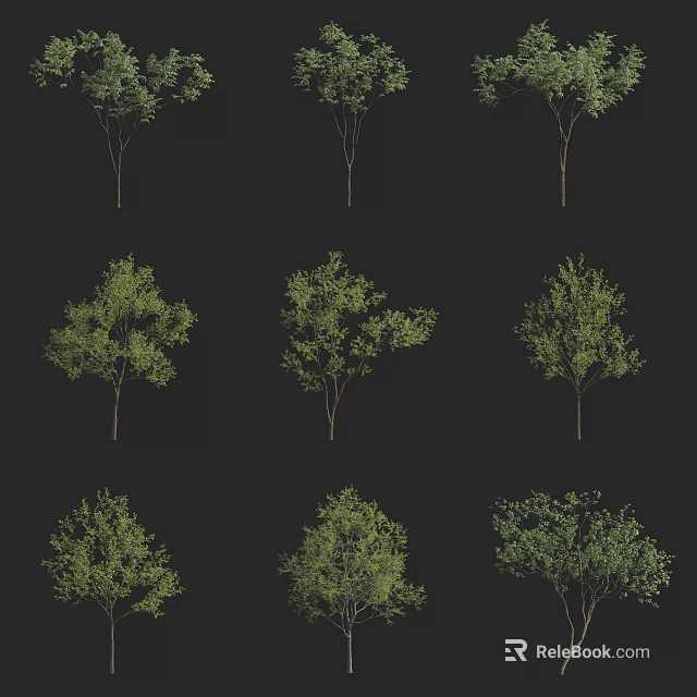 Arbor Trees Featuring Diverse Canopy Shapes and Green Foliage in Landscaping Design 3d model 