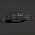 Spotted Marine Turtle With Textured Shell And Flippers On Dark Background 3d model