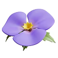 Vibrant Purple Flower Plant With Yellow Stamen And Green Leaves