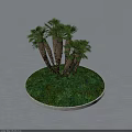Lush Palm Trees Growing On Circular Platform With Green Grass