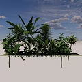 Green Plants Arrangement With Black Stone On Green Platform Against Black Background