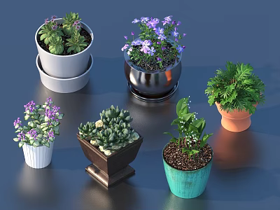 Various Bonsai Potted Plants with Colorful Ceramic Clay Pots and Flowering Green Foliage 3d model