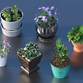 Various Bonsai Potted Plants with Colorful Ceramic Clay Pots and Flowering Green Foliage