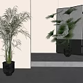 Lush Large Indoor Potted Plant in Black Planter for Modern Interior Decor with Mirror