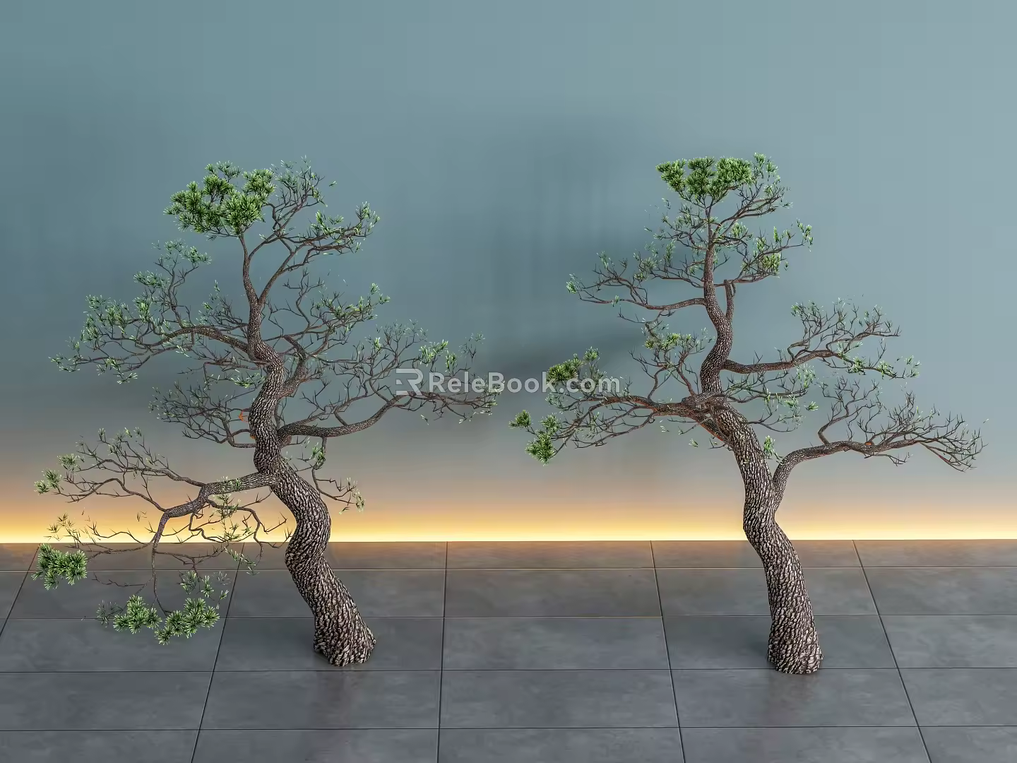 Pine Lohan Pine Yingke Pine Landscape Tree Model Tree Ornamental Tree 3d model