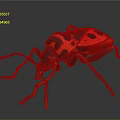 Vibrant Red And Black Spotted Beetle With Detailed Legs On Dark Background