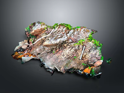 Natural Wooden Stone Decorative Art With Textured Surface And Green Moss Accents 3d model
