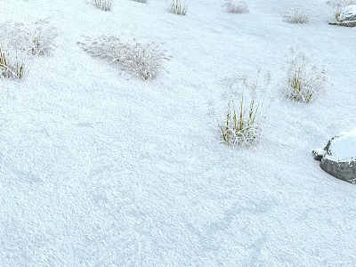 Scenic Winter Landscape With Snow Covered Ground And Frosted Grass Around A Snowy Rock 3d model