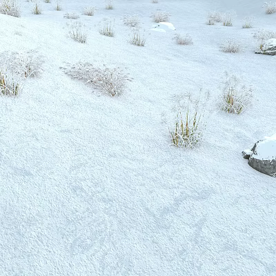 Scenic Winter Landscape With Snow Covered Ground And Frosted Grass Around A Snowy Rock 3d model